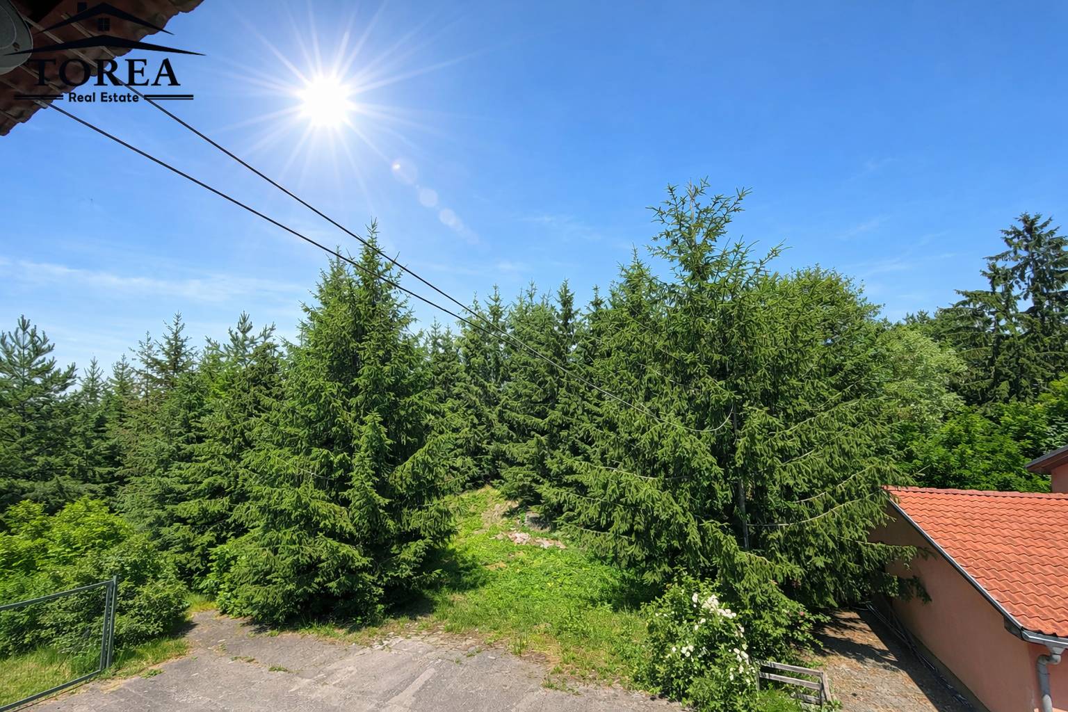 ChatGPT Image 11. 2. 2026, 15_27_30.png