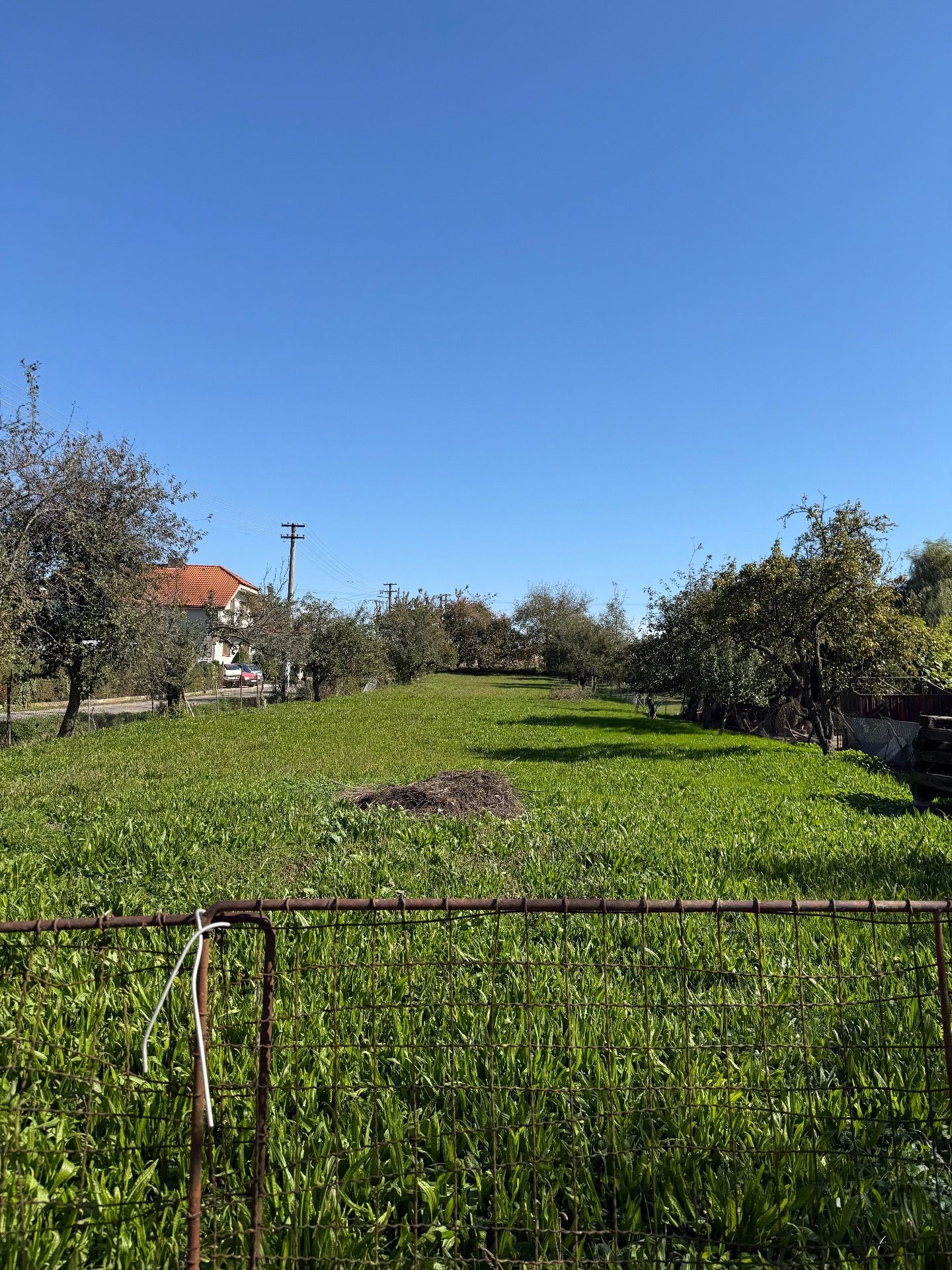 IMG_7404.jpeg