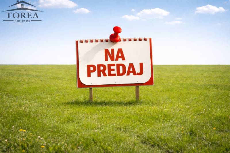 ChatGPT Image 26. 2. 2026, 10_22_03.png